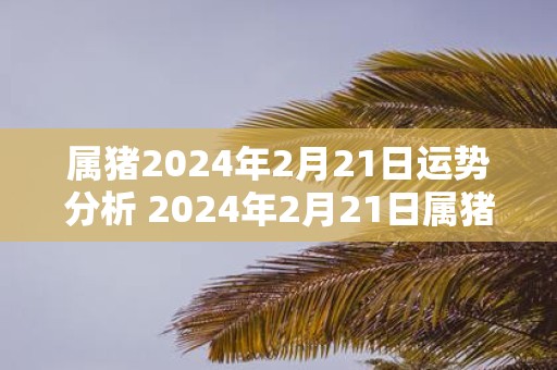 属猪2025年2月21日运势分析 2025年2月21日属猪运气详解