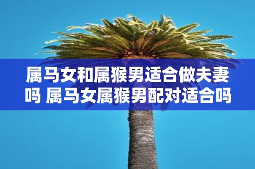 属马女和属猴男适合做夫妻吗 属马女属猴男配对适合吗