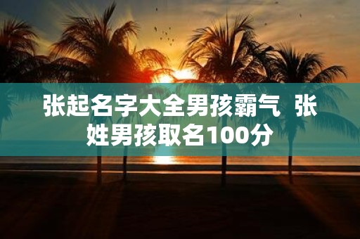 张起名字大全男孩霸气 张姓男孩取名100分