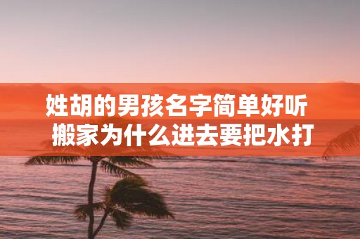 姓胡的男孩名字简单好听 搬家为什么进去要把水打开
