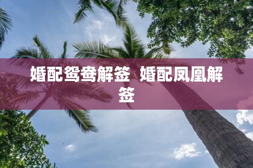 婚配鸳鸯解签 婚配凤凰解签