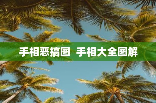 手相恶搞图 手相大全图解