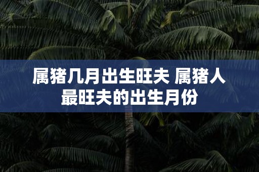 属猪几月出生旺夫 属猪人最旺夫的出生月份