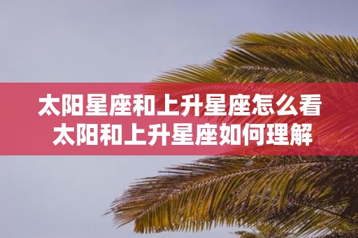 太阳星座和上升星座怎么看 太阳和上升星座如何理解