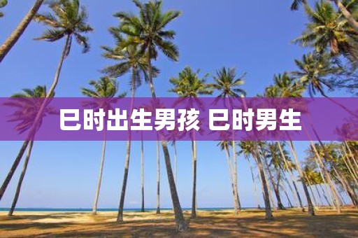巳时出生男孩 巳时男生