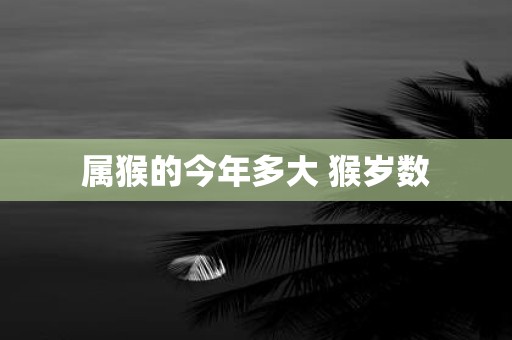 属猴的今年多大 猴岁数