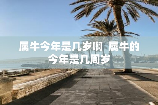 属牛今年是几岁啊 属牛的今年是几周岁