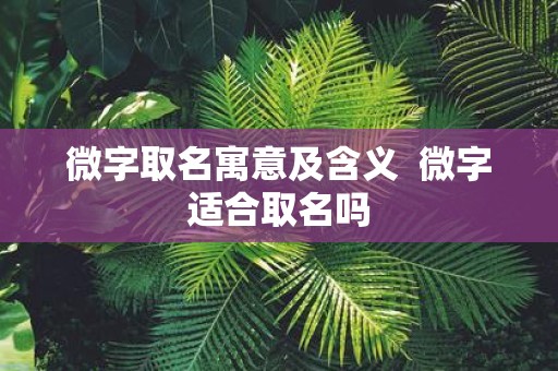 微字取名寓意及含义 微字适合取名吗