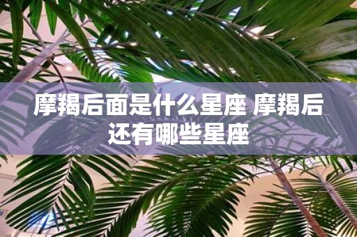 摩羯后面是什么星座 摩羯后还有哪些星座