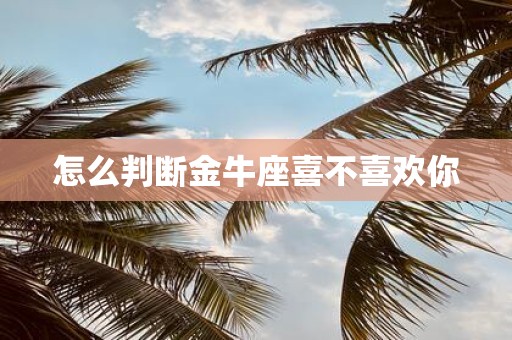 怎么判断金牛座喜不喜欢你