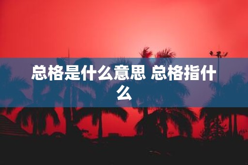 总格是什么意思 总格指什么