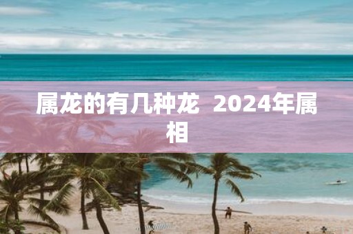 属龙的有几种龙 2025年属相