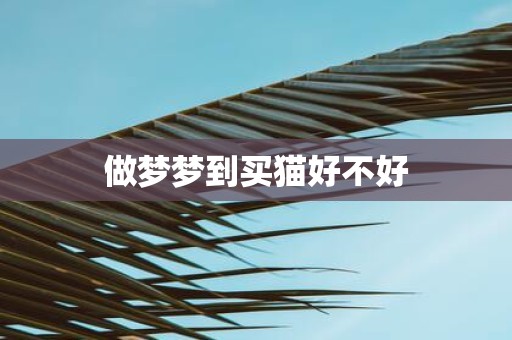 做梦梦到买猫好不好