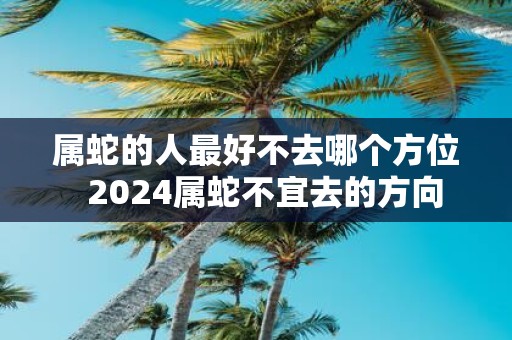 属蛇的人最好不去哪个方位 2025属蛇不宜去的方向