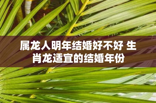 属龙人明年结婚好不好 生肖龙适宜的结婚年份