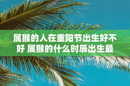 属猴的人在重阳节出生好不好 属猴的什么时辰出生最好