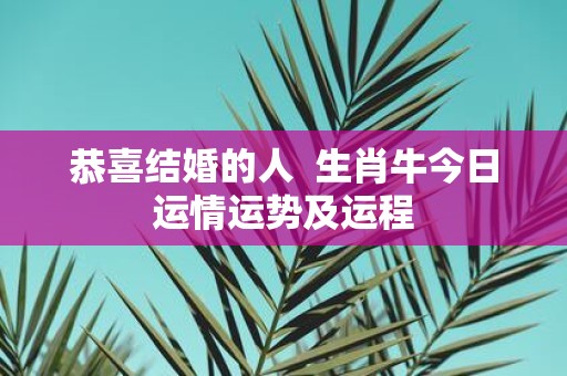 恭喜结婚的人 生肖牛今日运情运势及运程