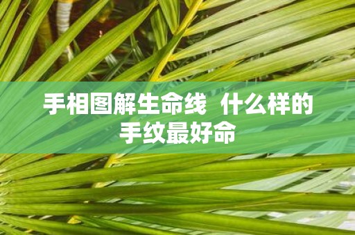 手相图解生命线 什么样的手纹最好命