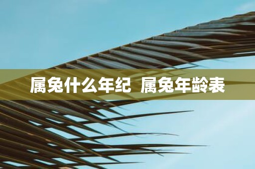 属兔什么年纪 属蛇年龄表