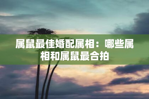 属鼠最佳婚配属相：哪些属相和属鼠最合拍