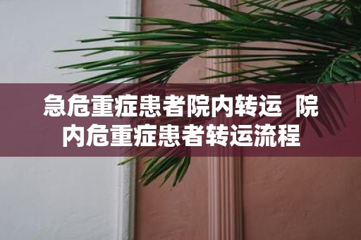 急危重症患者院内转运 院内危重症患者转运流程