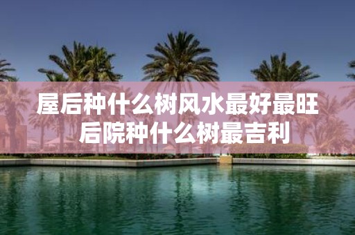 屋后种什么树风水最好最旺 后院种什么树最吉利
