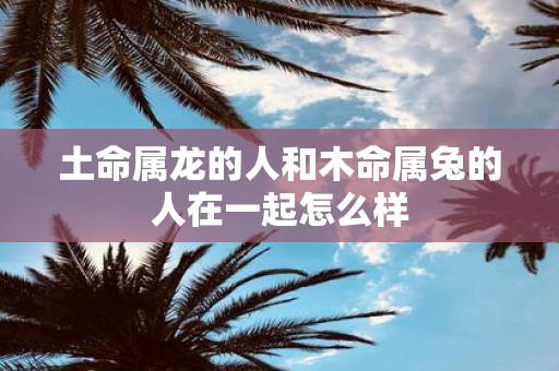 土命属龙的人和木命属兔的人在一起怎么样