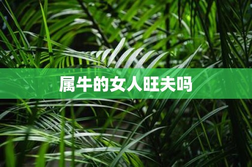 属牛的女人旺夫吗