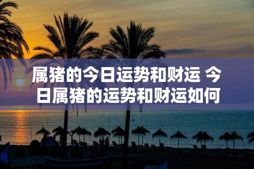属猪的今日运势和财运 今日属猪的运势和财运如何
