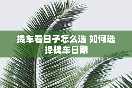 提车看日子怎么选 如何选择提车日期