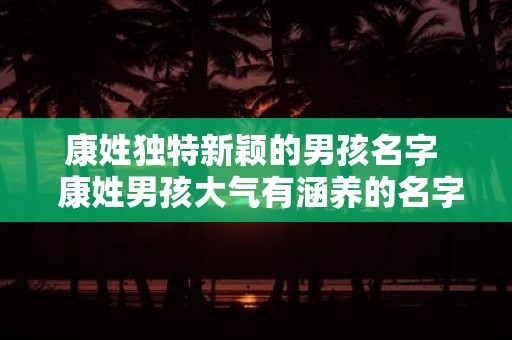 康姓独特新颖的男孩名字 康姓男孩大气有涵养的名字