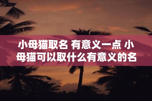 小母猫取名 有意义一点 小母猫可以取什么有意义的名字