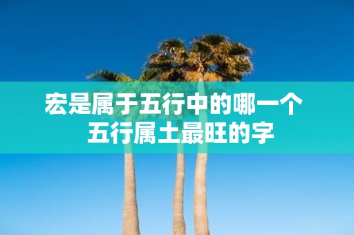 宏是属于五行中的哪一个 五行属土最旺的字