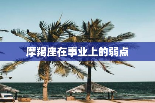 摩羯座在事业上的弱点