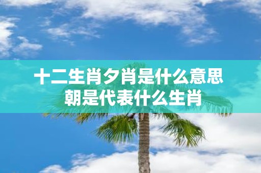 十二生肖夕肖是什么意思 朝是代表什么生肖