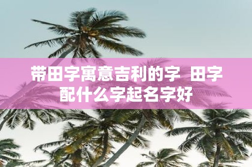 带田字寓意吉利的字 田字配什么字起名字好