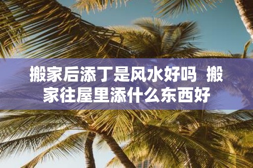 搬家后添丁是风水好吗 搬家往屋里添什么东西好