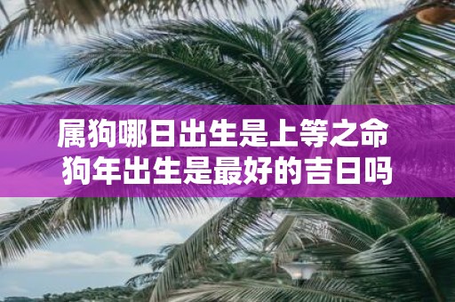 属狗哪日出生是上等之命 狗年出生是最好的吉日吗