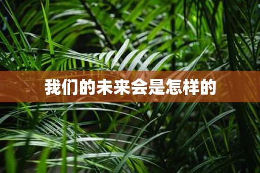 我们的未来会是怎样的