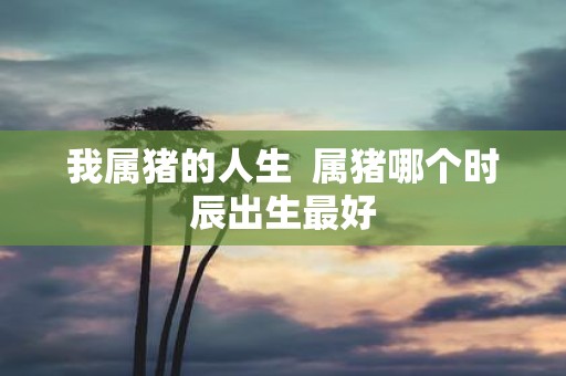 我属猪的人生 属猪哪个时辰出生最好