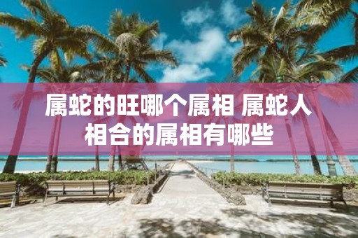 属蛇的旺哪个属相 属蛇人相合的属相有哪些