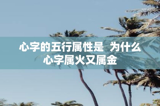 心字的五行属性是 为什么心字属火又属金