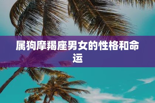 属狗摩羯座男女的性格和命运