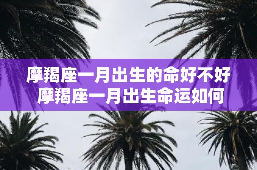 摩羯座一月出生的命好不好 摩羯座一月出生命运如何