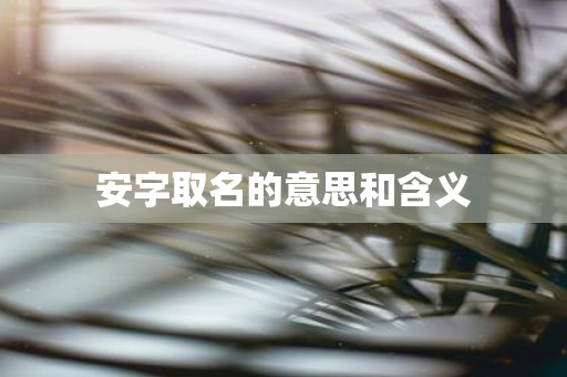 安字取名的意思和含义