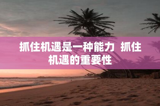 抓住机遇是一种能力 抓住机遇的重要性