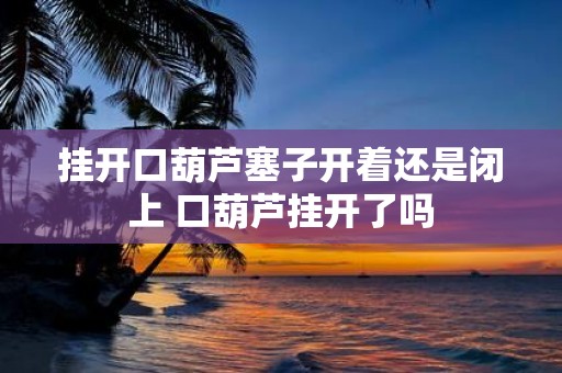 挂开口葫芦塞子开着还是闭上 口葫芦挂开了吗