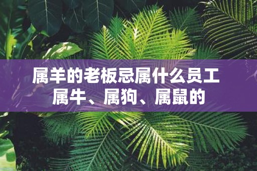 属羊的老板忌属什么员工 属牛、属狗、属鼠的