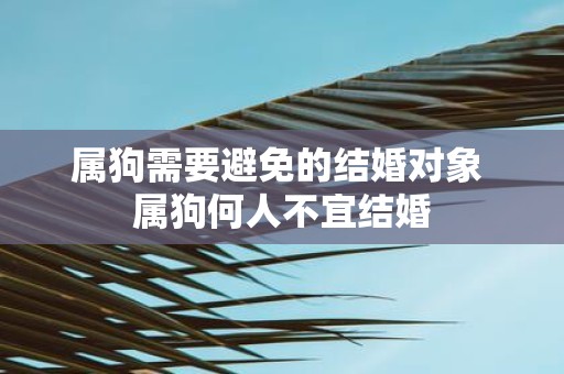 属狗需要避免的结婚对象 属狗何人不宜结婚