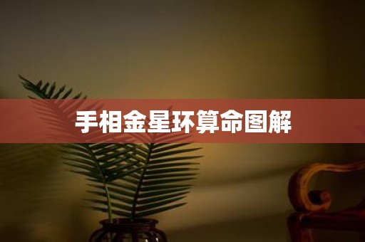 手相金星环算命图解